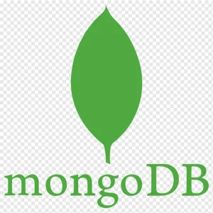 best software training and internship institute in Malappuram provides Mongo db course