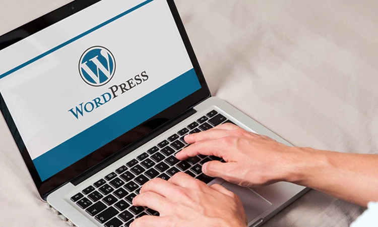 the web development course institute in Malappuram provides WordPress Internship